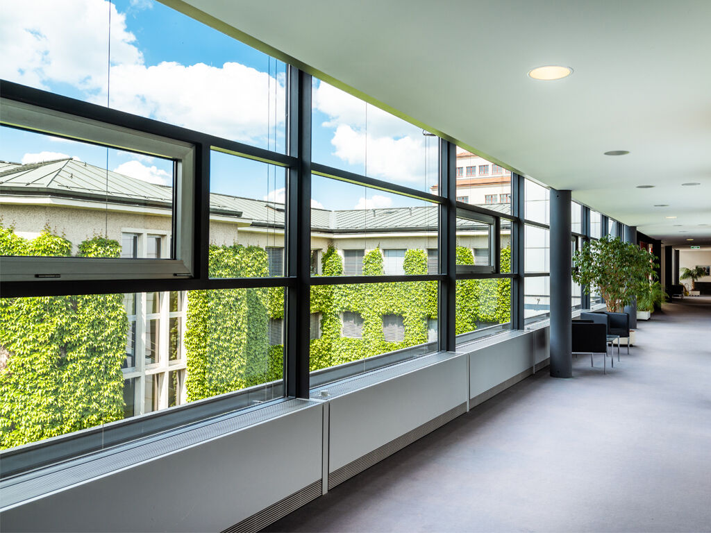 Durch eine lange Fensterfront auf einem Büroflur blickt man auf die begrünte Altbau Fassade. Am blauen Himmel sind vereinzelte Wolken.