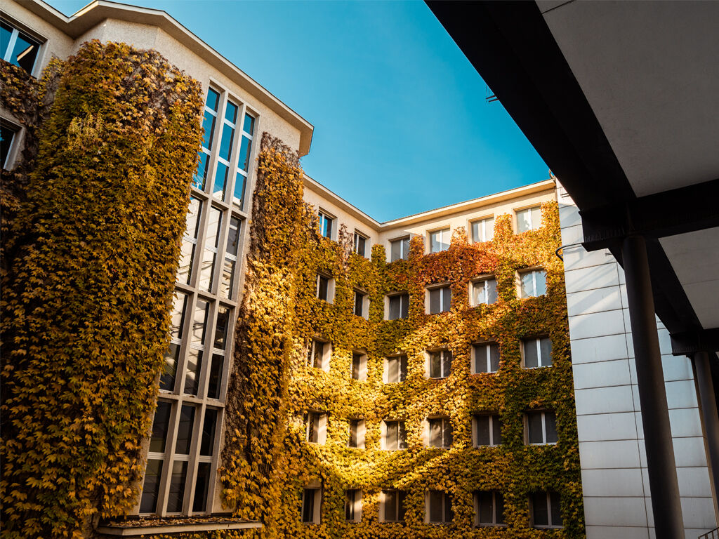 Die Fassade des Landtag Altbaus mit herbstlich gelber Bepflanzung. In den Fenstern spiegelt sich der klare blaue Himmel.