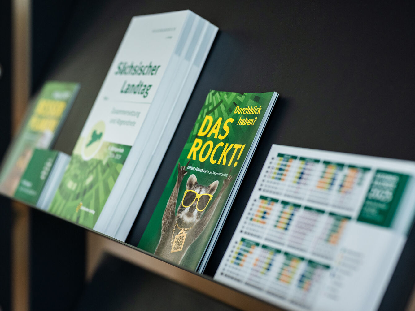 Auf einem offenen Regal liegen diverse Broschüren und Magazine.