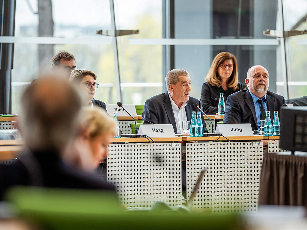 Sachkundige im Plenarsaal während einer Anhörung des Bildungsaausschusses
