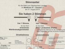 Screenshot eines Stimmzettels