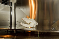 Ein Tierschädel aus dem 3D-Drucker des Fraunhofer-Instituts in Zittau