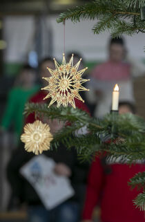 Baumschmuck am Weihnachtsbaum im Landtag