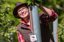 Preisträgerin Bärbel Kemper in ihrem Bienenwald