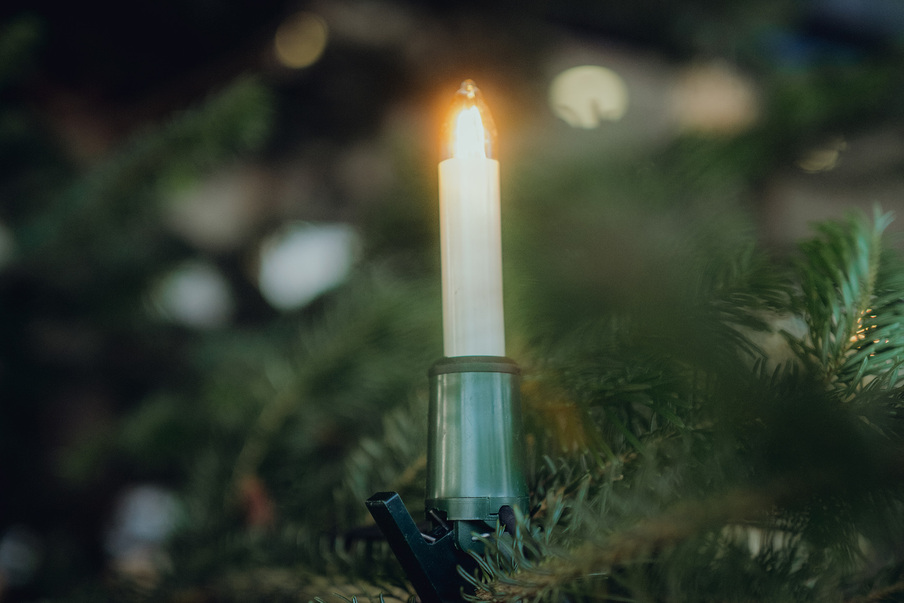 Licht am Weihnachtsbaum im Sächsischen Landtag