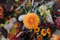 Blumen zum Tag der Deutschen Einheit